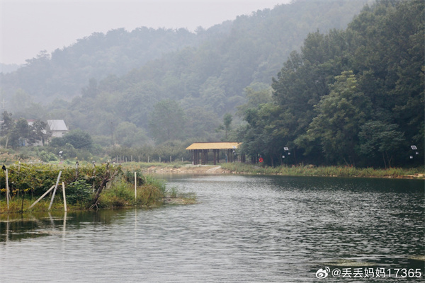 【圖說淮南】——秋霧 