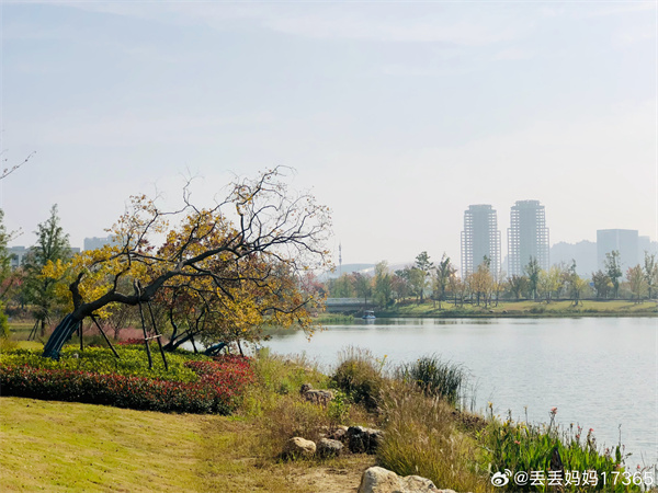 【圖說淮南】——秋日陽光  ???